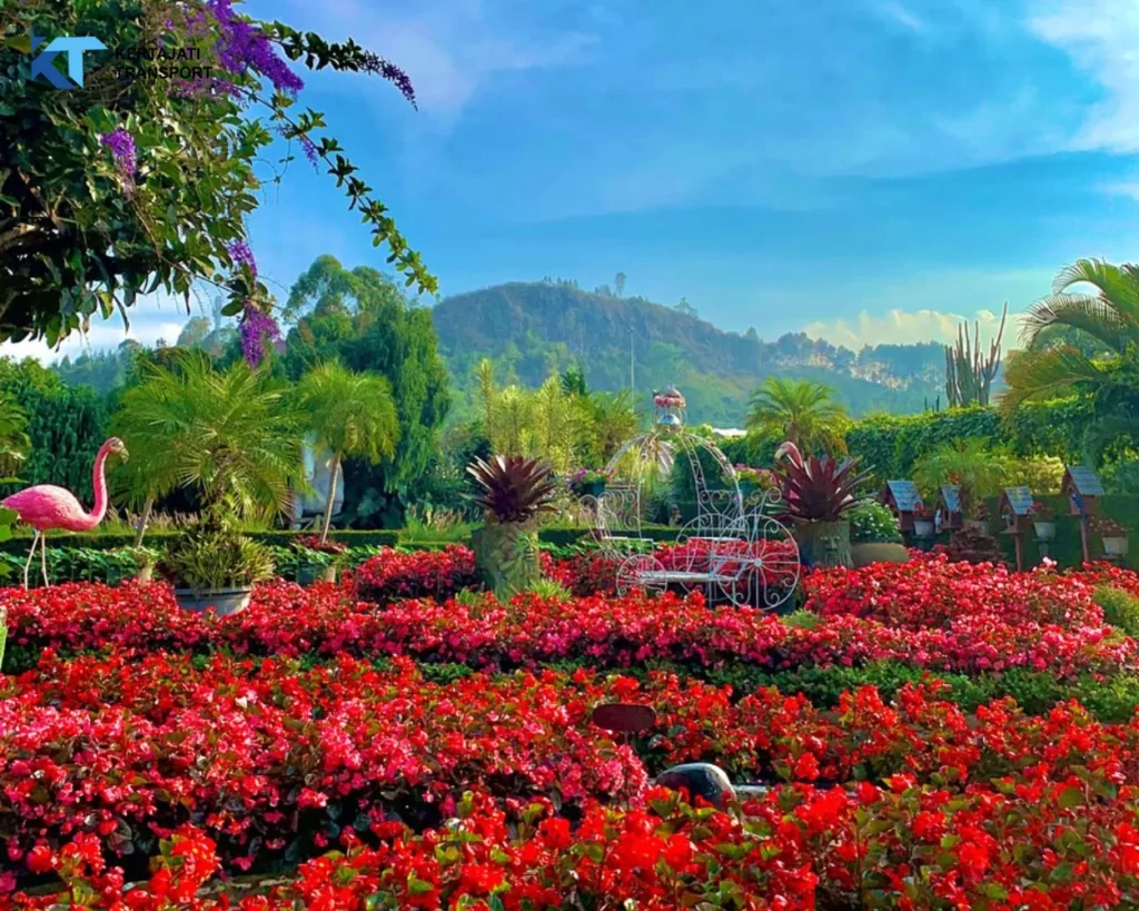 Taman Begonia